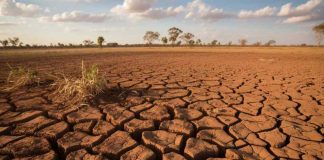 Sequía mundial: formas en que el riego tecnificado puede salvar el agua y los cultivos