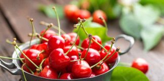 Comité de Cerezas de Frutas de Chile entrega segunda estimación de la temporada 2023-2024