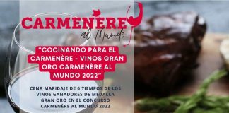 ANIAE realizará actividad para celebrar el vino chileno a través del Carmenère