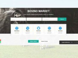 BOVINO MARKET, la nueva plataforma digital de comercialización de ganado impulsada por COWO Incubadora Corfo.