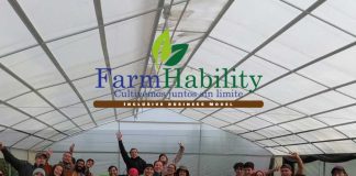 Hortalizas Orgánicas FarmHability