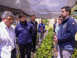 “Mi Primer Negocio Rural”: Gobierno lanza programa piloto en los Ríos para impulsar el desarrollo de los jóvenes rurales 