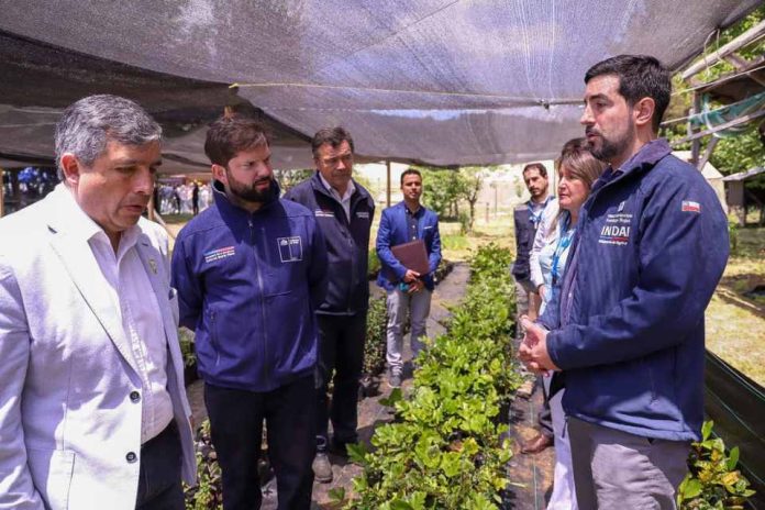 “Mi Primer Negocio Rural”: Gobierno lanza programa piloto en los Ríos para impulsar el desarrollo de los jóvenes rurales 