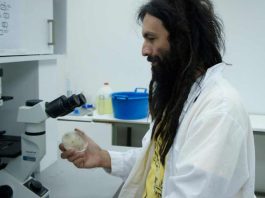 Microorganismos chilenos ayudarán a controlar plagas y enfermedades agrícolas en Brasil