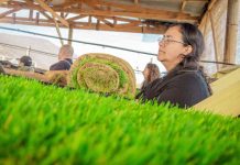 Nace el Centro de Extensión en Agroecología: un compromiso con la sostenibilidad