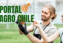Portal Agro Chile