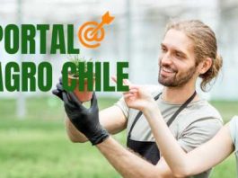 Portal Agro Chile