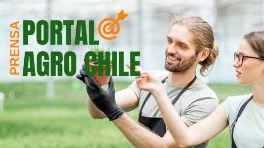 Portal Agro Chile