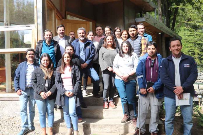 Formación y proyección del trabajo intersectorial, temas abordados en el encuentro regional de PRODESAL 