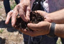 Agricultores aprenderán sobre microbiología de suelo para mejorar captación de agua