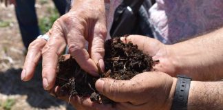 Agricultores aprenderán sobre microbiología de suelo para mejorar captación de agua