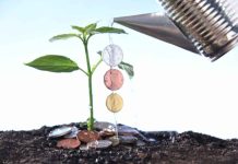 Casino inversión en agricultura: cómo la industria de juegos de azar contribuye al desarrollo rural