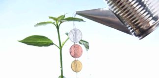 Casino inversión en agricultura: cómo la industria de juegos de azar contribuye al desarrollo rural