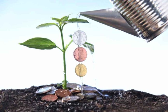 Casino inversión en agricultura: cómo la industria de juegos de azar contribuye al desarrollo rural