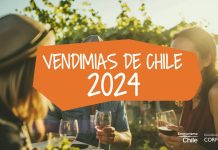 Corfo y el programa Enoturismo Chile dan a conocer el Calendario de Vendimias 2024