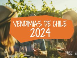 Corfo y el programa Enoturismo Chile dan a conocer el Calendario de Vendimias 2024
