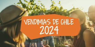 Corfo y el programa Enoturismo Chile dan a conocer el Calendario de Vendimias 2024