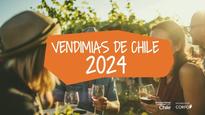 Corfo y el programa Enoturismo Chile dan a conocer el Calendario de Vendimias 2024