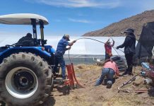 Instalan primer sistema de riego subterráneo en Putre: Ahorra hasta un 60% de agua para el cultivo de alfalfa