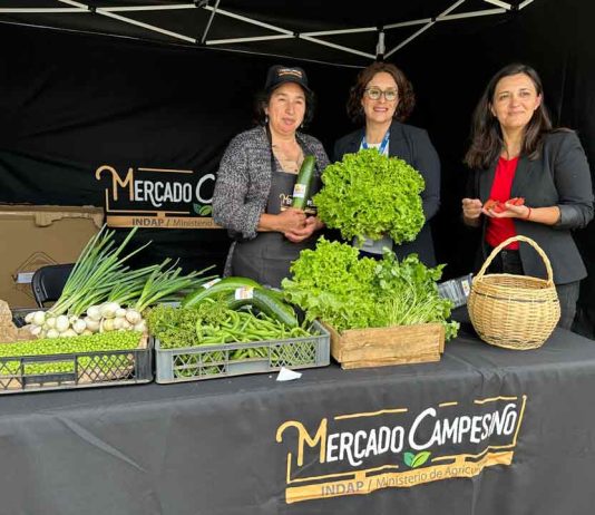 EN Tirúa impulsan venta de productos agrícolas con nuevo mercado campesino de INDAP