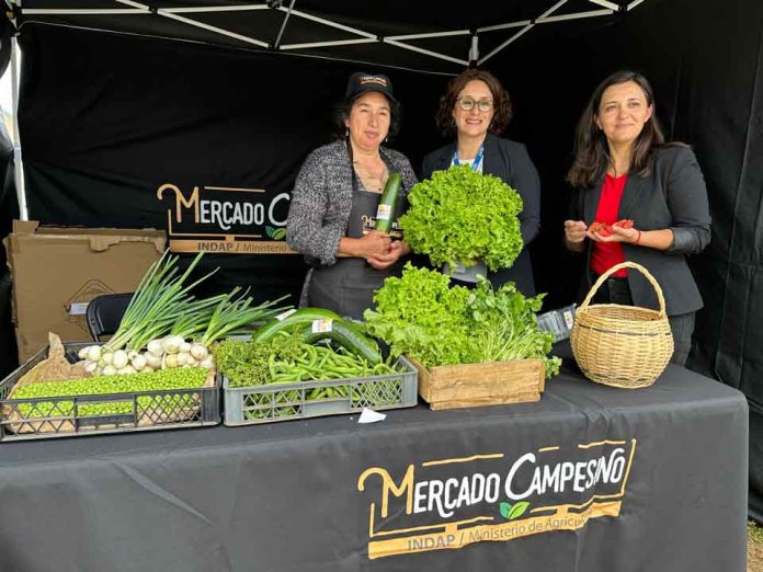 EN Tirúa impulsan venta de productos agrícolas con nuevo mercado campesino de INDAP