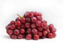 El  64% de las exportaciones de uvas de mesa chilenas serán de variedades nuevas