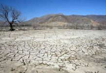 Experto convocado por Cámara de Diputados propone soluciones al problema de la sequía