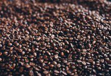 Revolucionario proyecto científico busca combatir enfermedades neurodegenerativas con extracto de borra de café