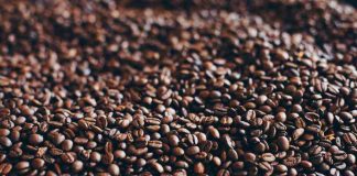 Revolucionario proyecto científico busca combatir enfermedades neurodegenerativas con extracto de borra de café