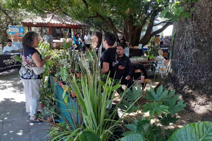 Gran interés despertó la Feria Sustentable realizada en Agronomía UdeC