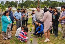 INDAP mejora acceso al riego y apoya la plantación de uvas viníferas en la comuna de Puerto Octay 