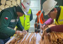 Importación de productos agrícolas y de origen pecuario: principales inspecciones realizadas por el SAG en los puertos de Biobío