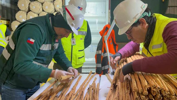Importación de productos agrícolas y de origen pecuario: principales inspecciones realizadas por el SAG en los puertos de Biobío