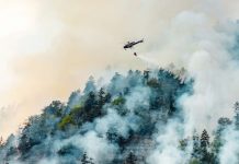 Incendios forestales en Chile