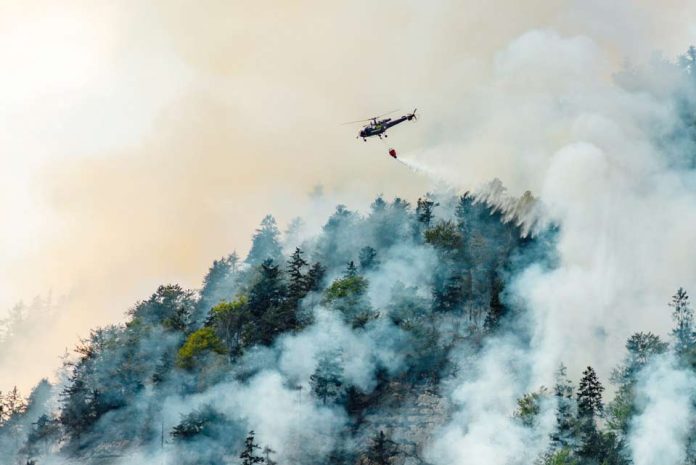 Incendios forestales en Chile