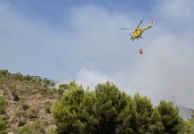 Incendios forestales seguirán aumentando con mayor fuerza en los próximos años en Chile y el mundo  