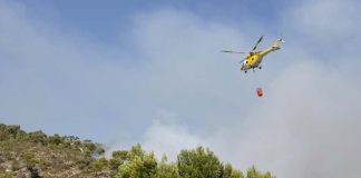 Incendios forestales seguirán aumentando con mayor fuerza en los próximos años en Chile y el mundo  