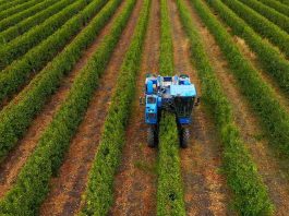Los principales desafíos de la industria agrícola para el 2024