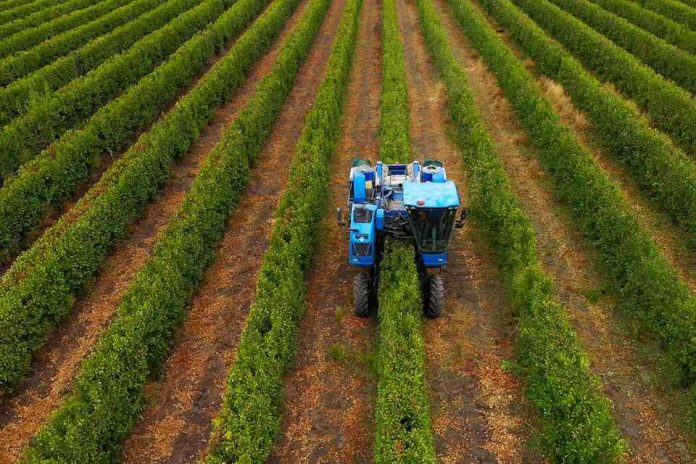 Los principales desafíos de la industria agrícola para el 2024