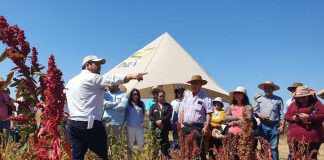 Pequeños agricultores del Secano aprenden rescate de granos tradicionales y ancestrales