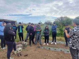 Reconversión productiva y recambio generacional: ¿Qué significan y por qué son esenciales para el futuro de la agricultura en la Región de Valparaíso?