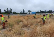 Ruta del Maipo refuerza medidas ante temporada de incendios