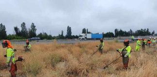 Ruta del Maipo refuerza medidas ante temporada de incendios