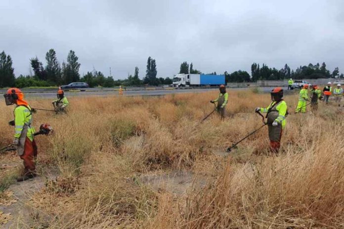 Ruta del Maipo refuerza medidas ante temporada de incendios
