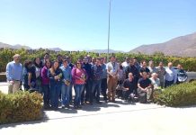 SAG y Frutas de Chile dan inicio a programa piloto para envíos de uvas de mesa bajo Systems Approach a México