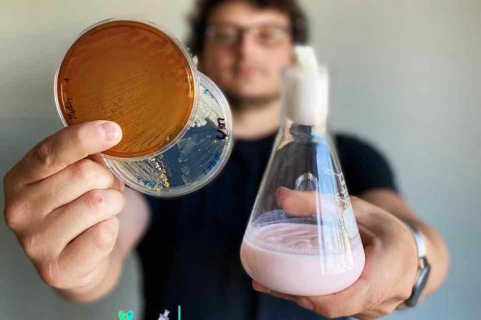 Startup de Osorno Desarrolla Revolucionario Yoghurt en base a Psicobióticos para mejorar la Salud Mental