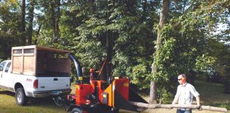 Todo lo que se debe saber para la prevención de incendios forestales