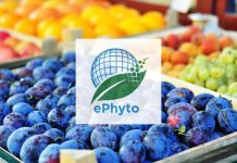 Chile se convierte en el primer país sudamericano en lograr la implementación de ePhytos con Corea del Sur