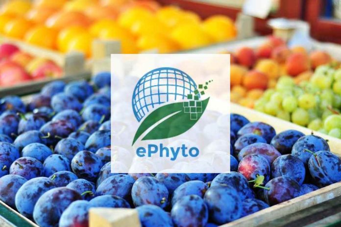 Chile se convierte en el primer país sudamericano en lograr la implementación de ePhytos con Corea del Sur
