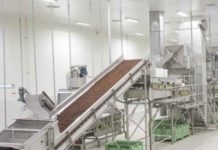 ¿Cómo reducir al mínimo la presencia de carozo en el producto final?